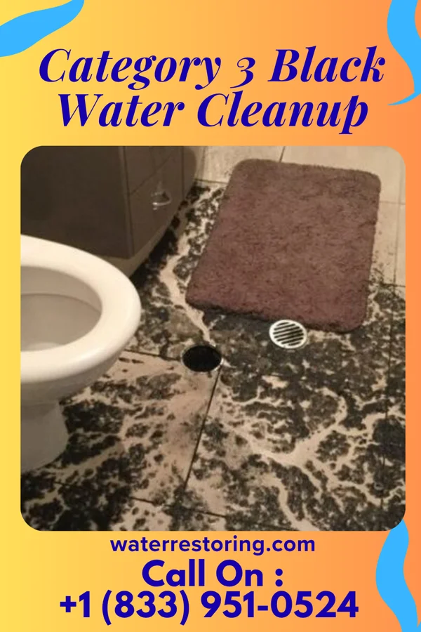 Category 3 Black Water Cleanup in Appomattox, VA