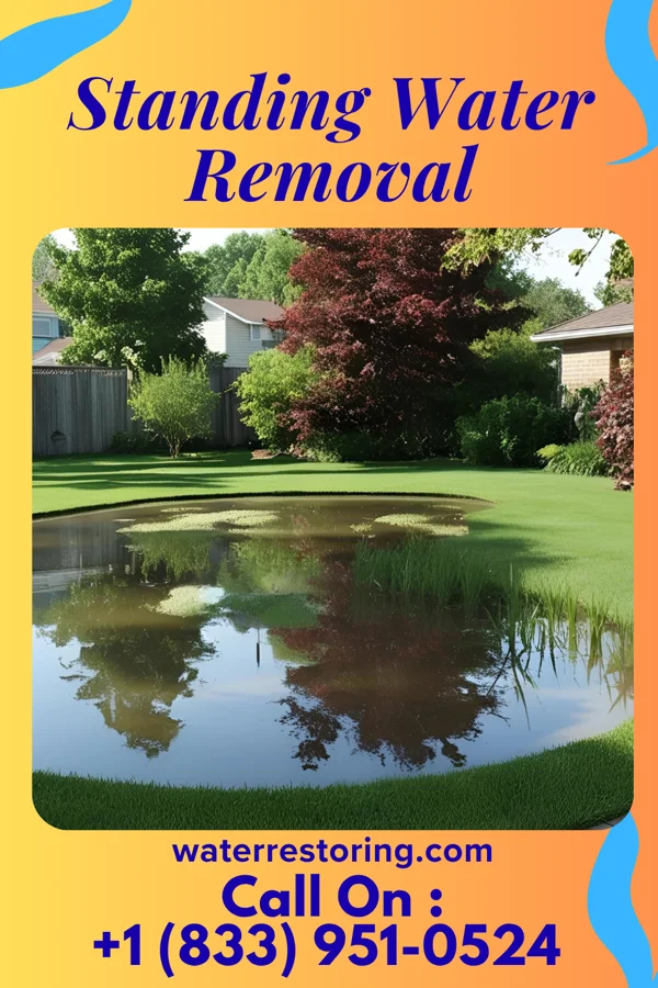 Standing Water Removal in Appomattox, VA